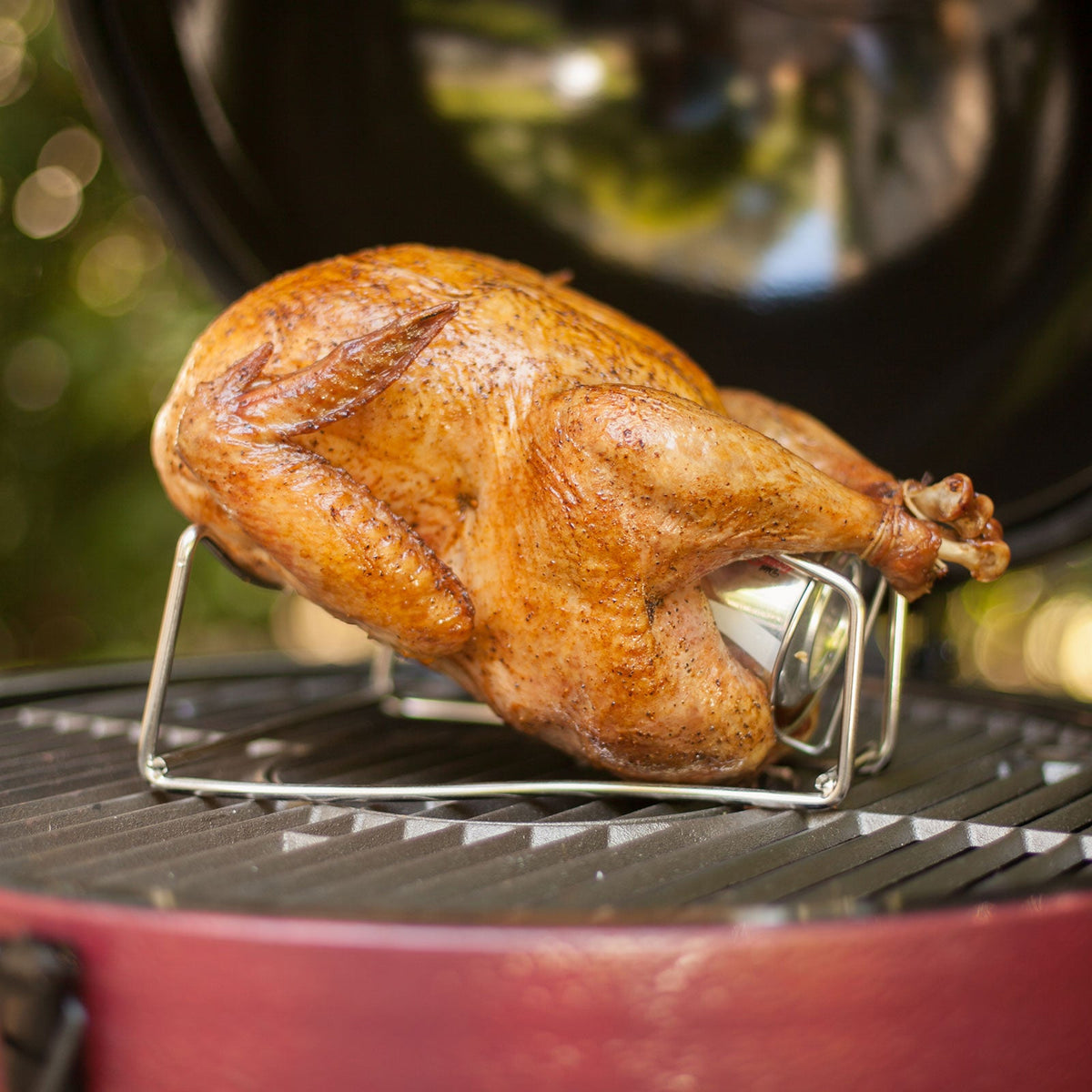 Turkey Roaster