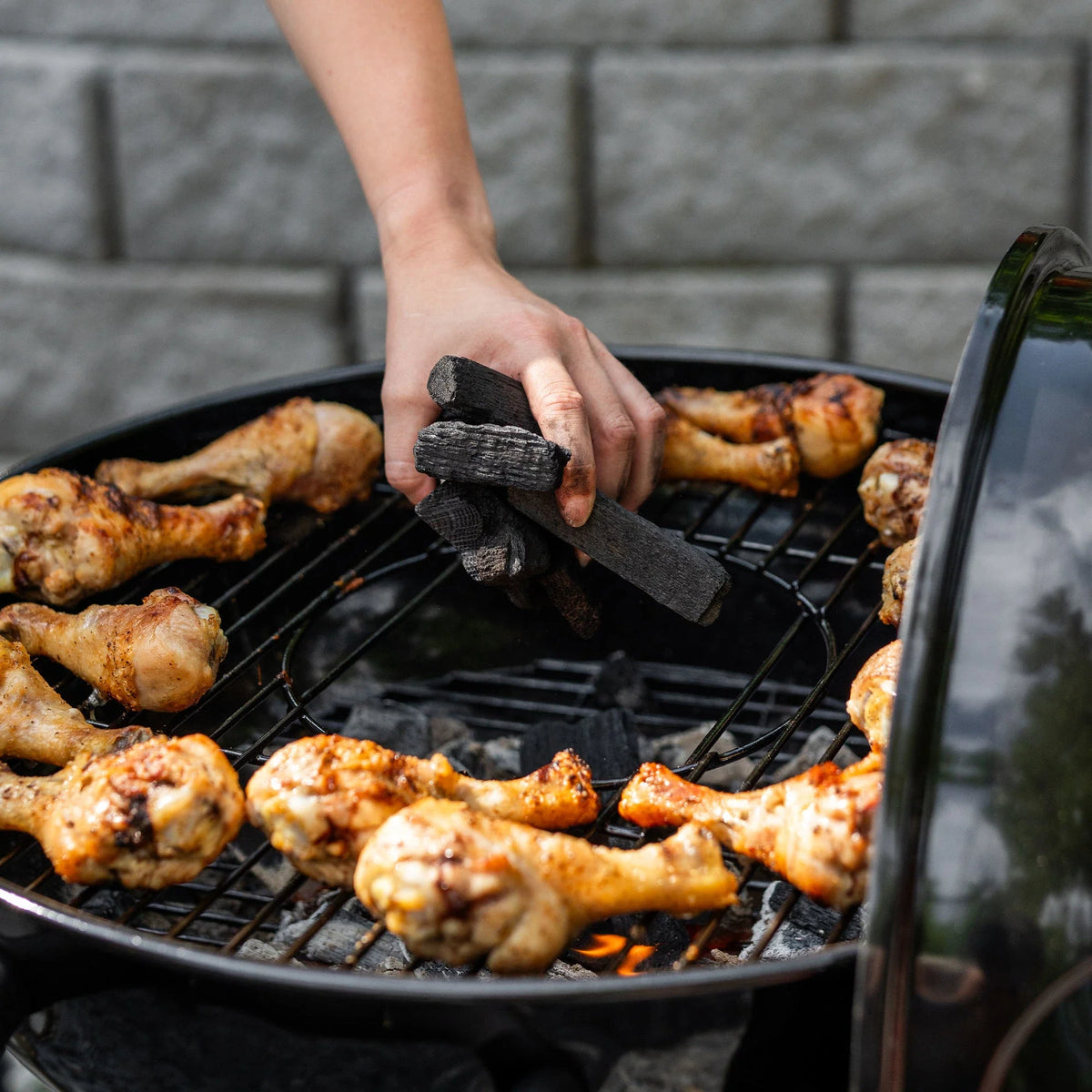 Black AKORN® Kamado Grill, Cover, Charcoal Chimney, and Lump Charcoal Bundle
