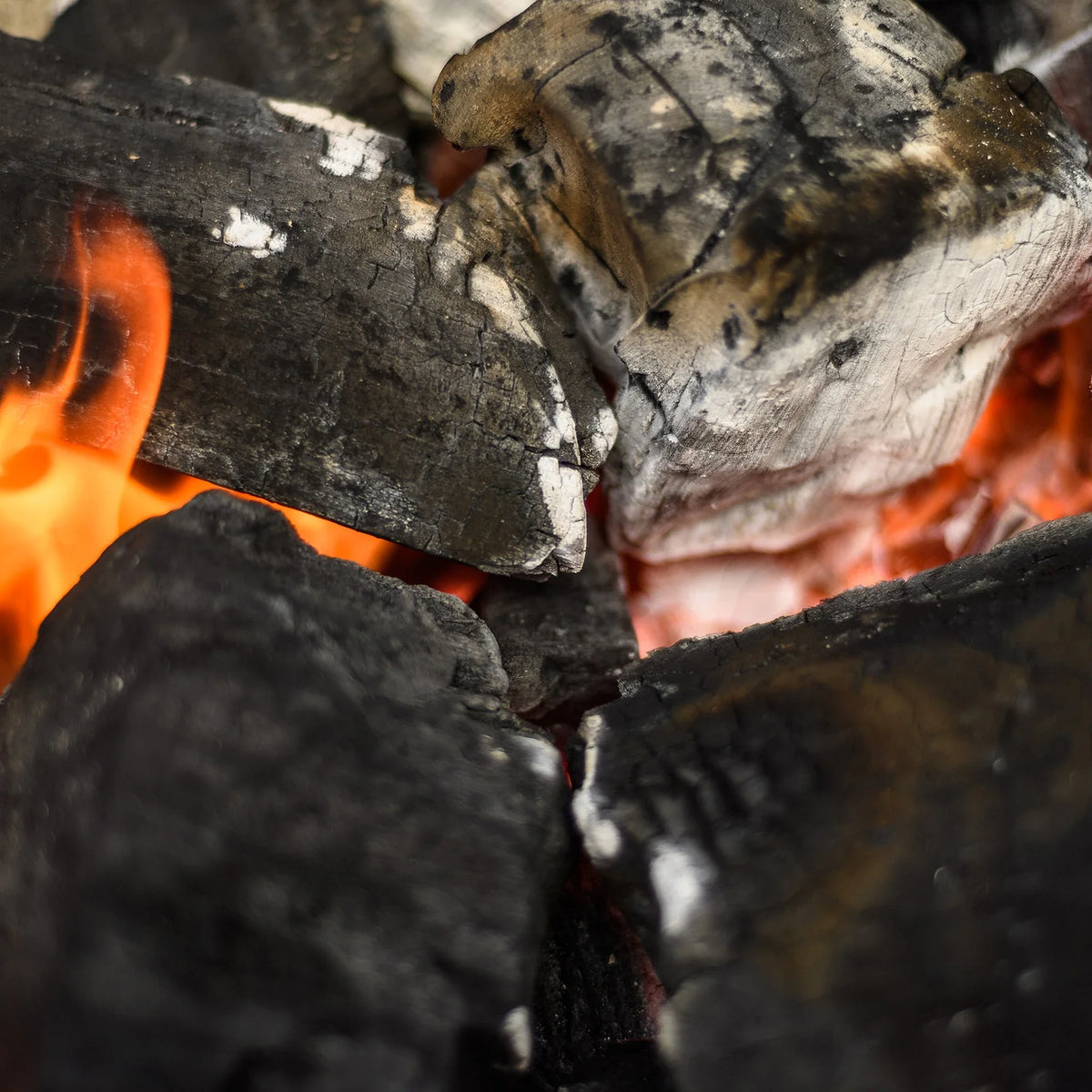 Gravity Series® Rotisserie, Lump Charcoal, and Fire Starter Bundle
