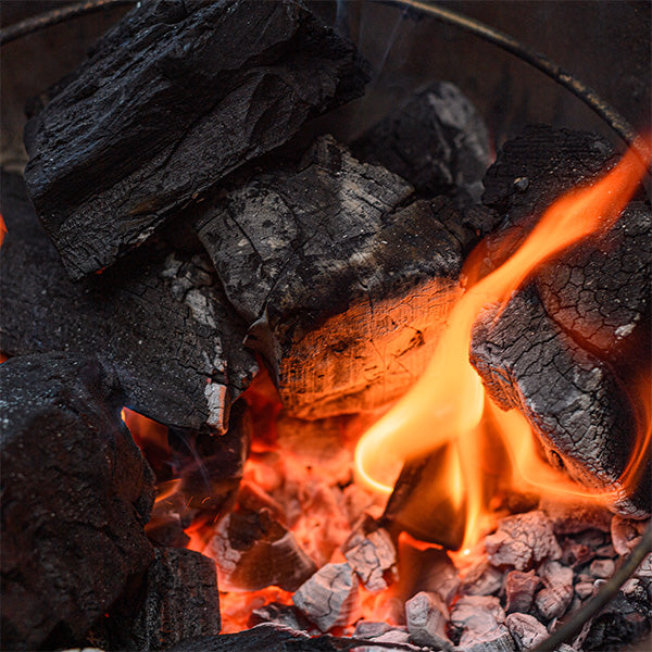 Classic Joe® Cover, Big Block XL Charcoal, and Fire Starters Bundle