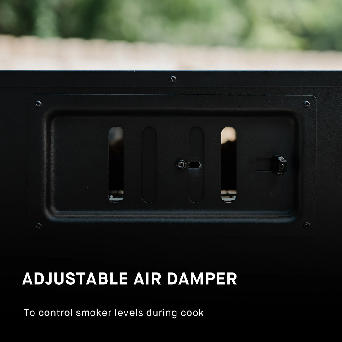 30-inch Dual Fuel Propane and Charcoal Smoker